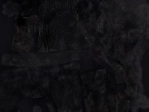 пантера 3D Модель