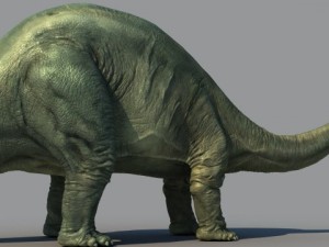 brontosaurus 3Dモデル
