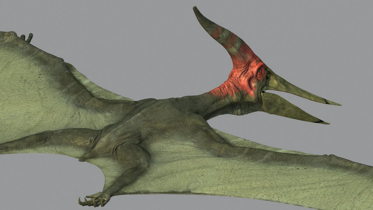 pterodon 3D Model .c4d .max .obj .3ds .fbx .stl .blend 