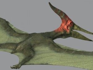 pterodon Modello 3D