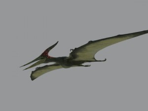 pterodon Model 3D