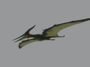 pterodon 3D Model