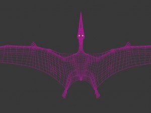 pterodon Model 3D