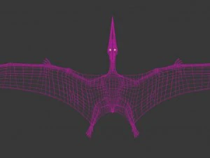 pterodon 3D Model