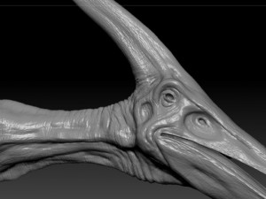 pterodon Model 3D
