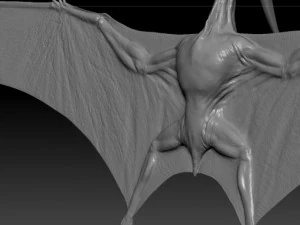 pterodon 3D Model
