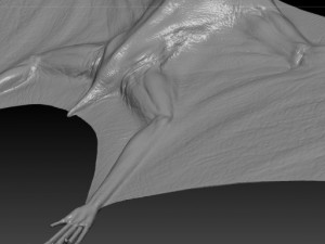 pterodon Model 3D