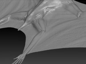 pterodon 3D Model