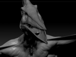 pterodon Model 3D