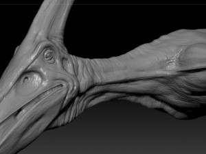 pterodon Model 3D