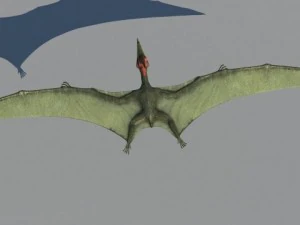 pterodon 3D Model