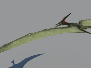 pterodon Model 3D