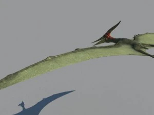 pterodon 3D Model