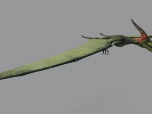 pterodon 3D Model