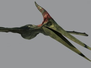 pterodon Model 3D
