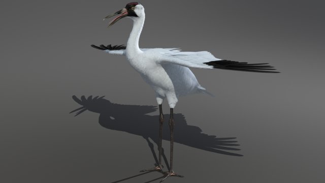 crane 3D-Modell .c4d .max .obj .3ds .fbx .stl .blend 
