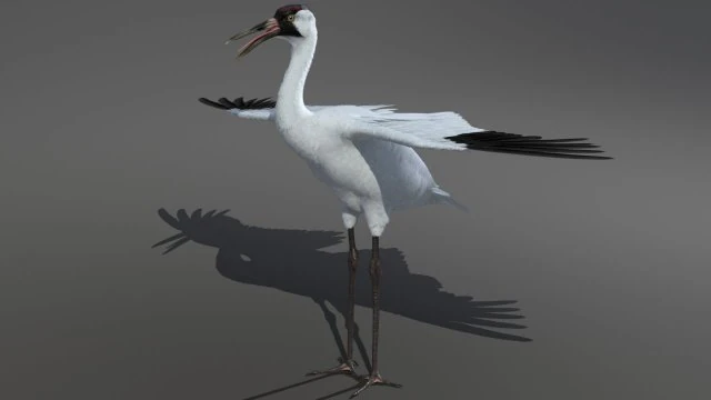 crane 3D Model .c4d .max .obj .3ds .fbx .stl .blend 