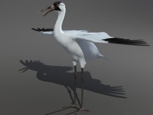 crane 3D Model