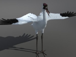 crane 3D-Modell