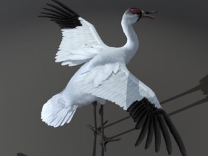 crane 3D-Modell