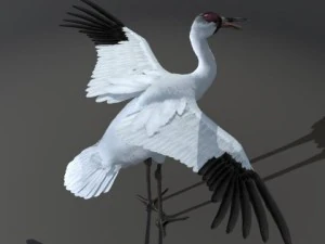 crane 3D Model