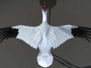 crane 3D-Modell