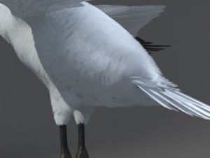 crane 3D-Modell
