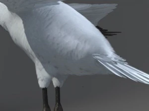 crane 3D Model