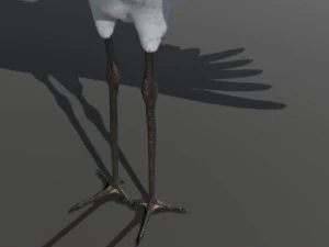 crane 3D Model