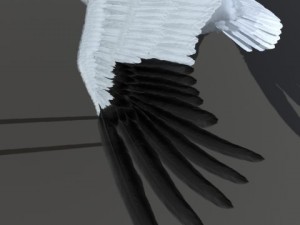 crane 3D-Modell
