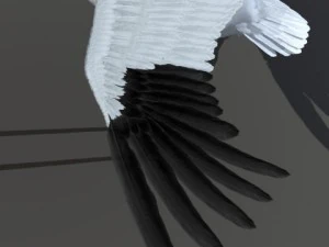 crane 3D Model