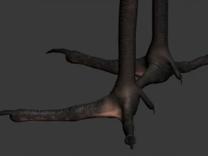 crane 3D Model