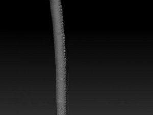 crane 3D-Modell