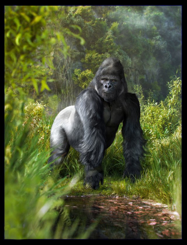 gorilla 3D-Modell .c4d .max .obj .3ds .fbx .stl .blend 