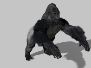 gorilla 3D-Modell