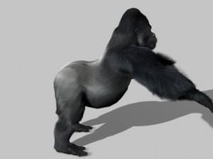 gorilla 3D-Modell
