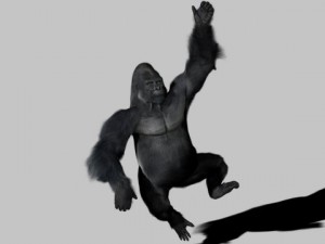 gorilla 3D-Modell