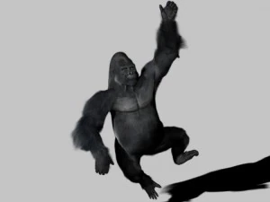 gorila Modelo 3D