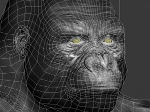 gorilla 3D-Modell