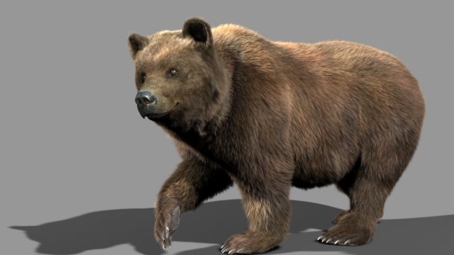 bear Model 3D .c4d .max .obj .3ds .fbx .stl .blend 
