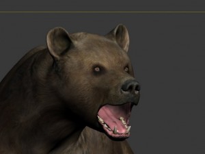 bear Model 3D