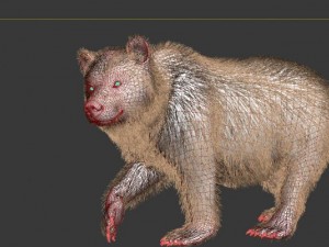 bear Model 3D