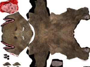 bear Model 3D
