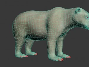 bear polar 3D Model