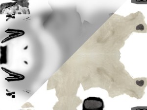 bear polar 3D Model