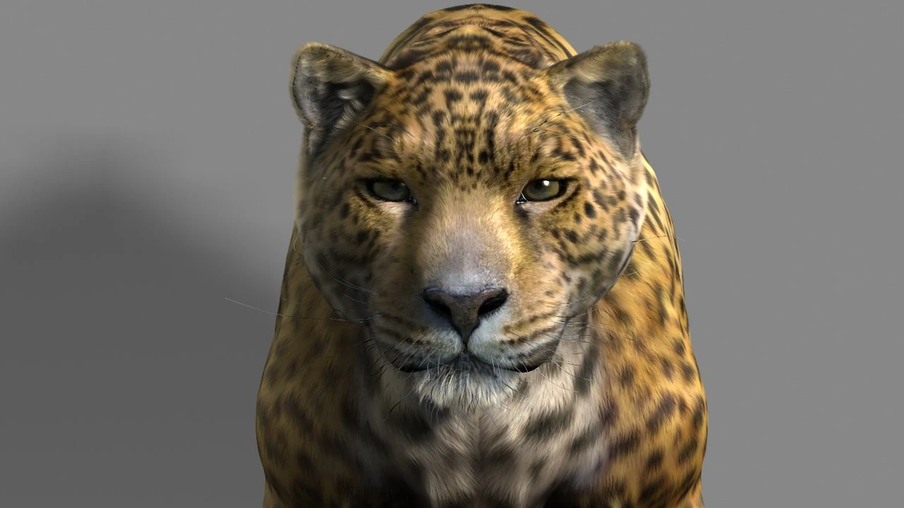 jaguar 3D Model .c4d .max .obj .3ds .fbx .stl .blend 