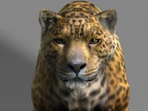 jaguar Model 3D