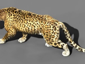 jaguar Modelo 3D