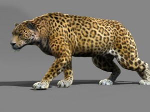jaguar Modelo 3D