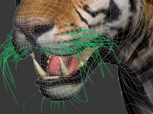 tiger 3D-Modell